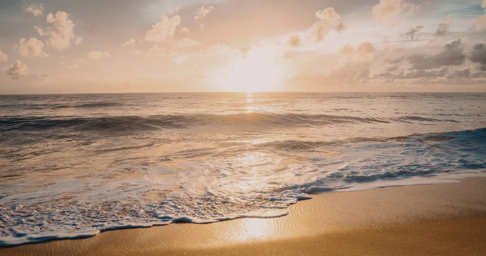 Uncover the magic of Cayucos after dark — sunset views, live tunes, and seaside charm