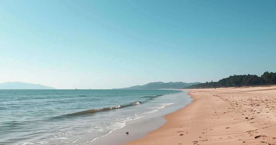 Cayucos Travel Guide 2026: Top Attractions & Stunning Coastal Views